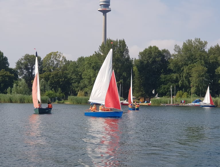 Boote auf der Donau II