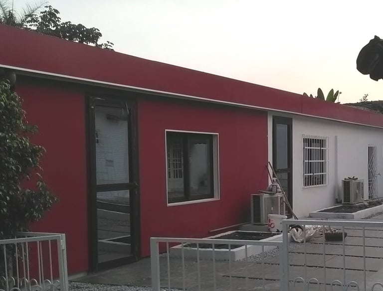 a horse is standing in front of a red building