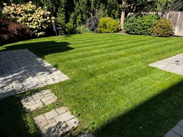 grass cut, fresh mower stripes