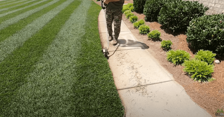 freshly cut grass, edging lawn for define look