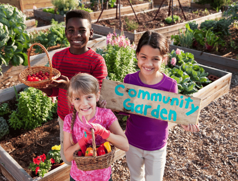 Kids at the community gardens