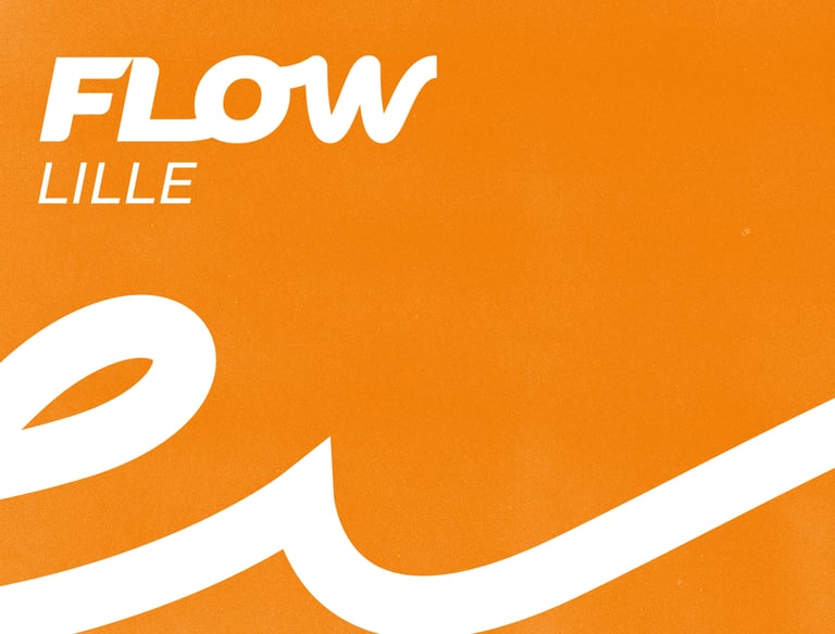 flow lille 10 ans littydoz direction artistique graphisme