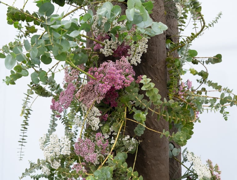 RHS Chelsea Flower Shower - Hedy Leung