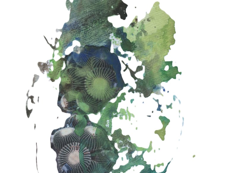 Inspired by nature’s palettes, exploring fluidity and balance in the Sogetsu Ikebana art