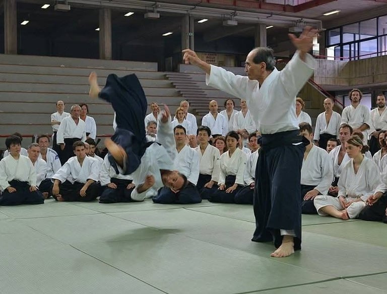 Proiezione di Aikido