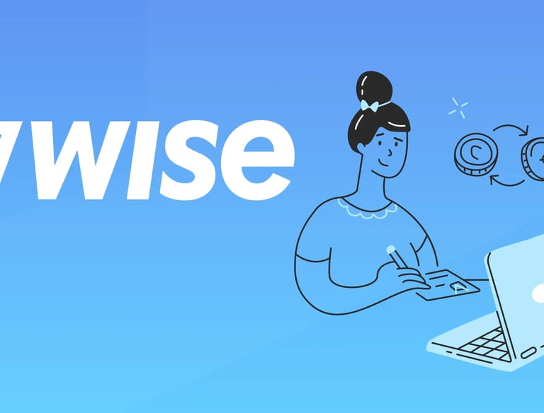 la tarjeta Wise se utiliza en Egipto para realizar pagos y compras tanto en moneda local como en dólares (pero debe indicar q