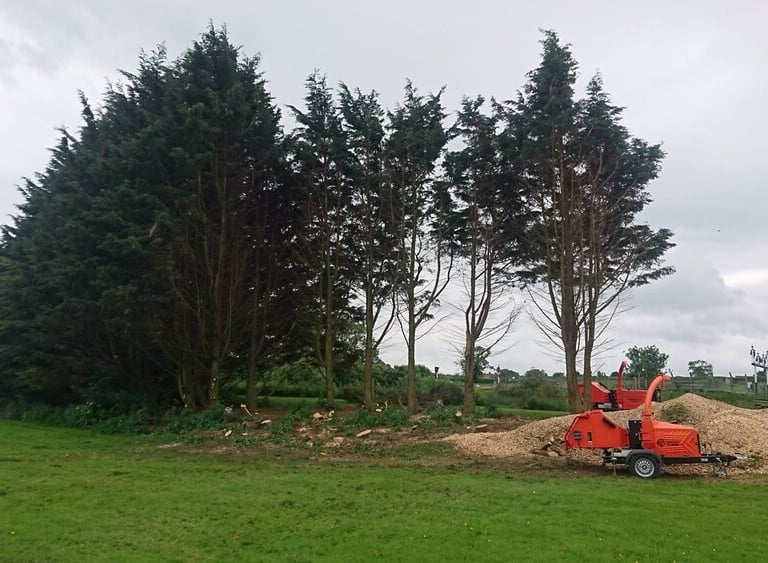 site clearance