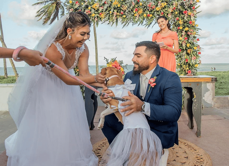 Casamento na praia