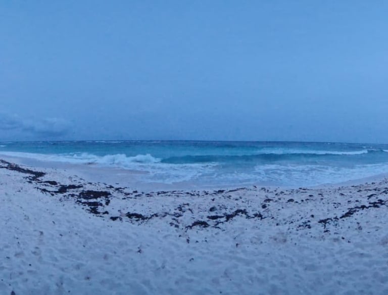 a beach with a beach and a boat in the background
