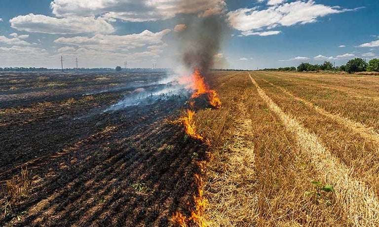 crop residue burning in India