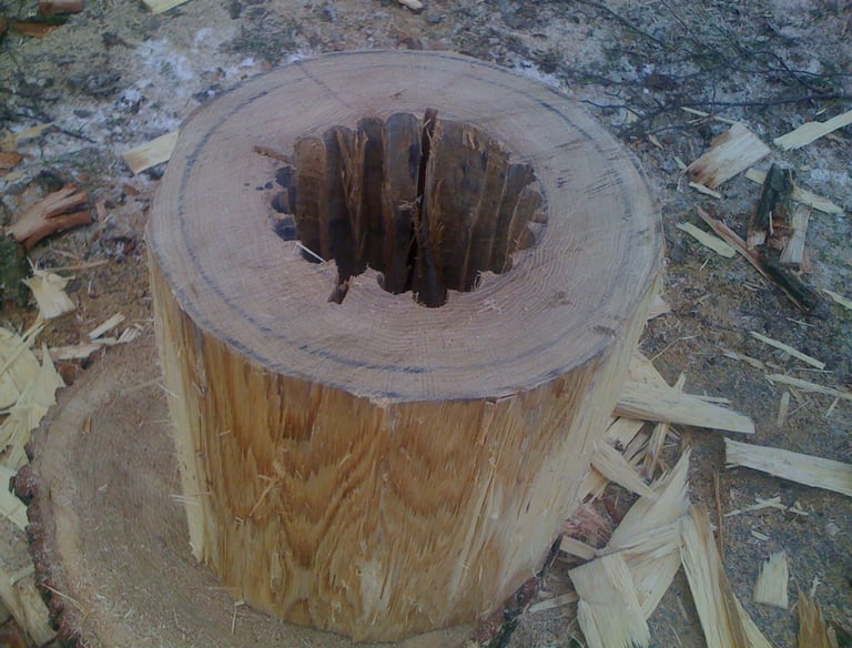 massiv drums pollnerdrums the real solid drums