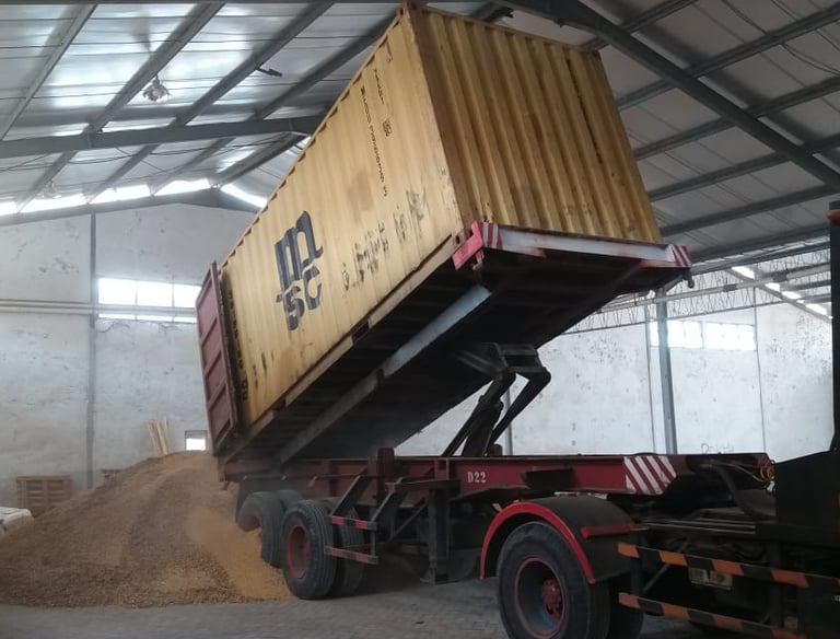 Tiiping container buat bulk cargo Transindra perkasa fowarder