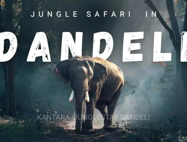 dandeli jungle safari