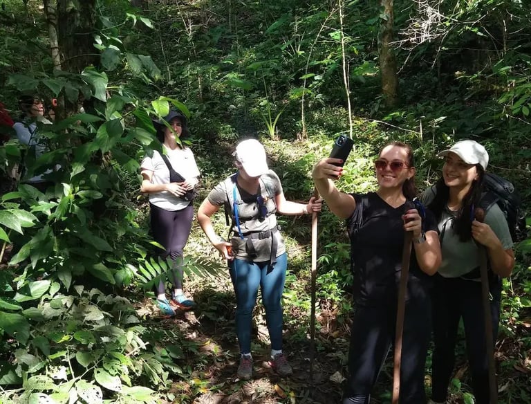a group of people walking through a forest