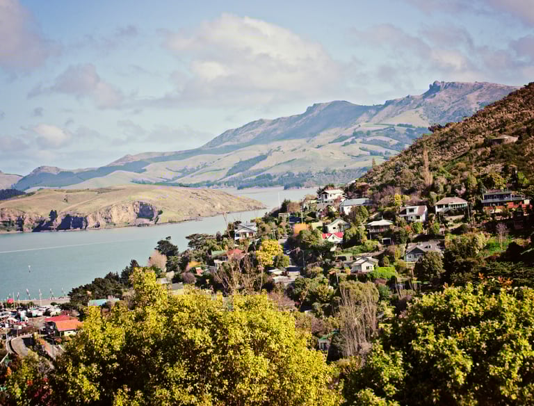 Rural new zealand real estate landscape