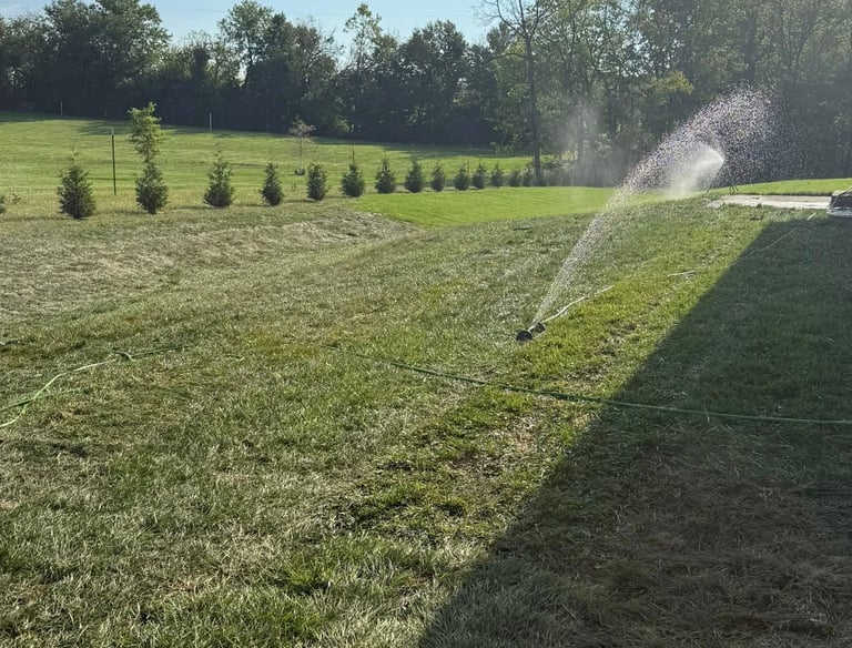 Landscaping and final grading for residential yard