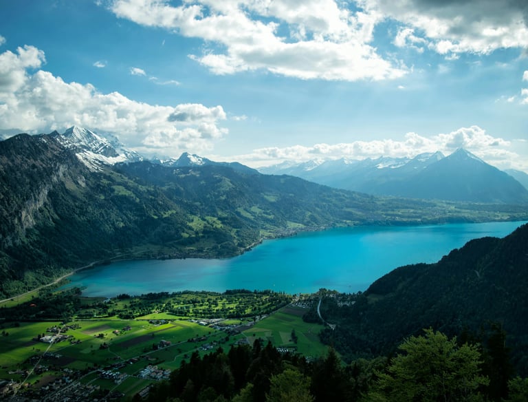 Admin help for expats in Switzerland