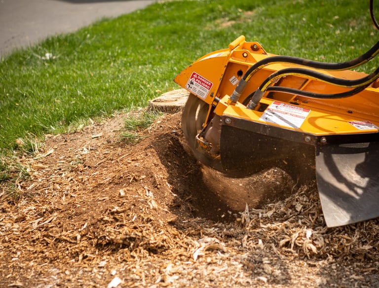 tree removal services in eden prairie mn