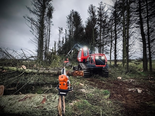 forestry Ellon