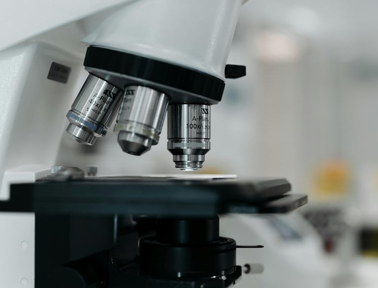 Marketing Consultancy - Reason Marketing Marketing Consultant