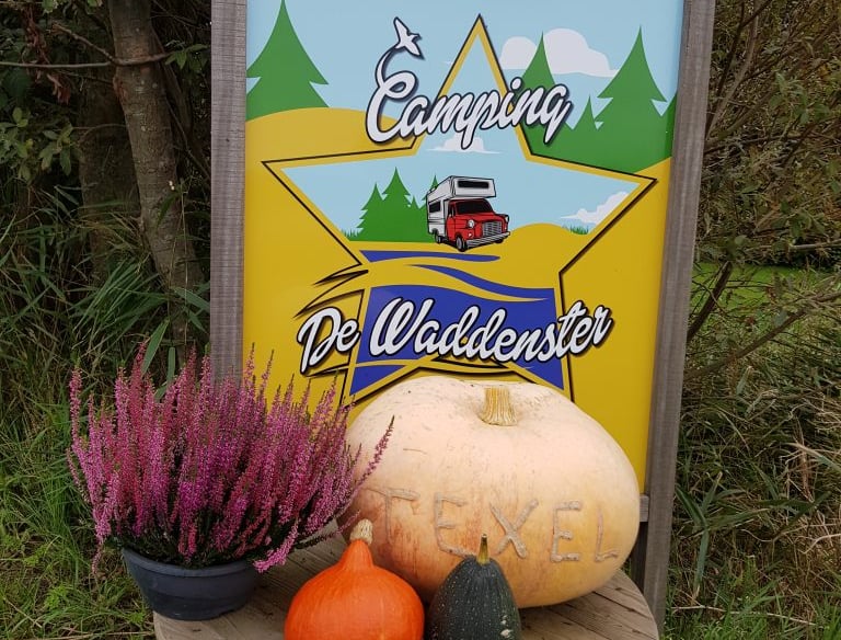 Camping de Waddenster