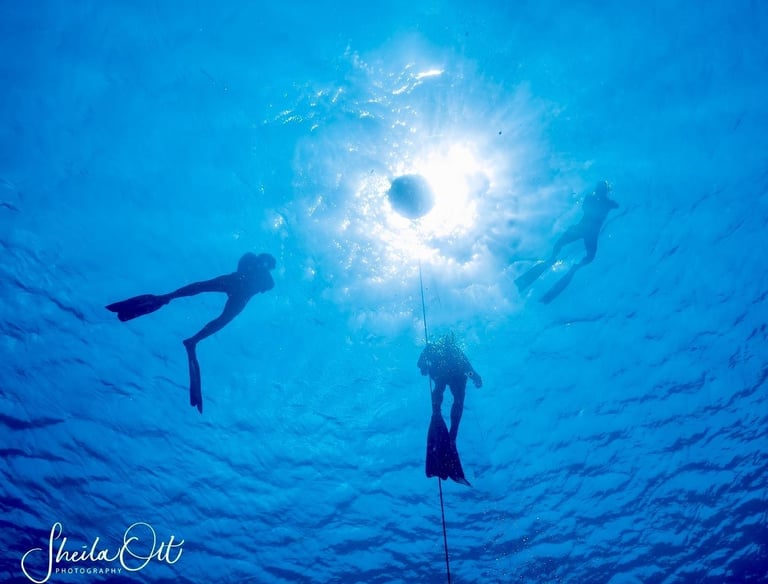 Freediving on Curacao