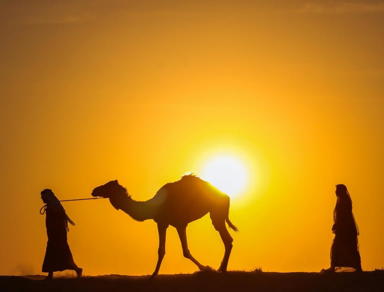 Camel caravan at sunset in the Moroccan Sahara desert during a multi-day tour