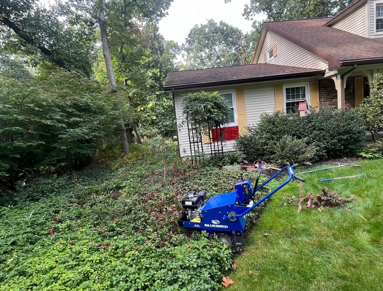 property clean-up to restore outdoor appearance