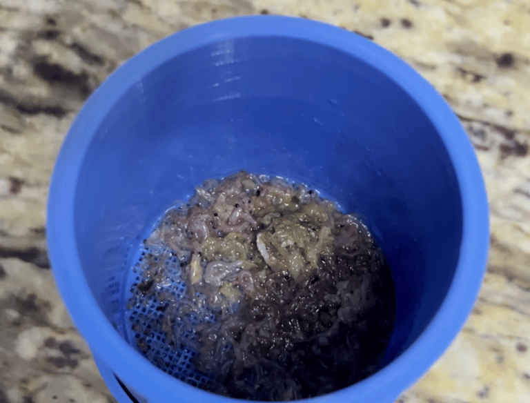 Fresh brine shrimp and fish food inside a blue 3D printed aquarium thawing system