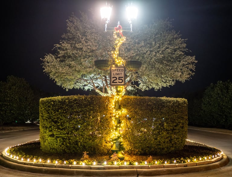 Illuminated Christmas lights on a street lamp and hedges in a traffic roundabout at night.