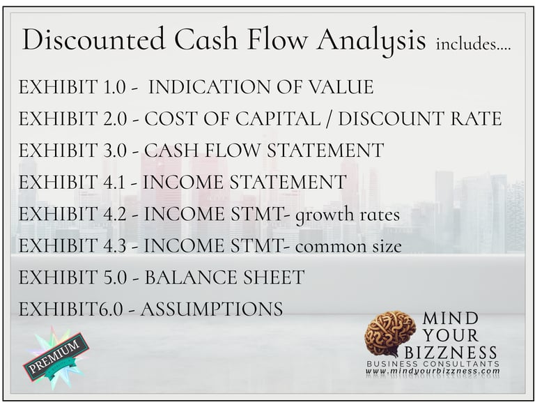 A schedule showing what is included in a discounted cash flow analysis. 