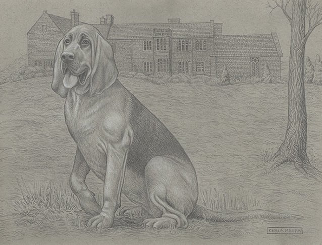 A pencil drawing of a bloodhound dog sitting on the grass in front of an English manor House.