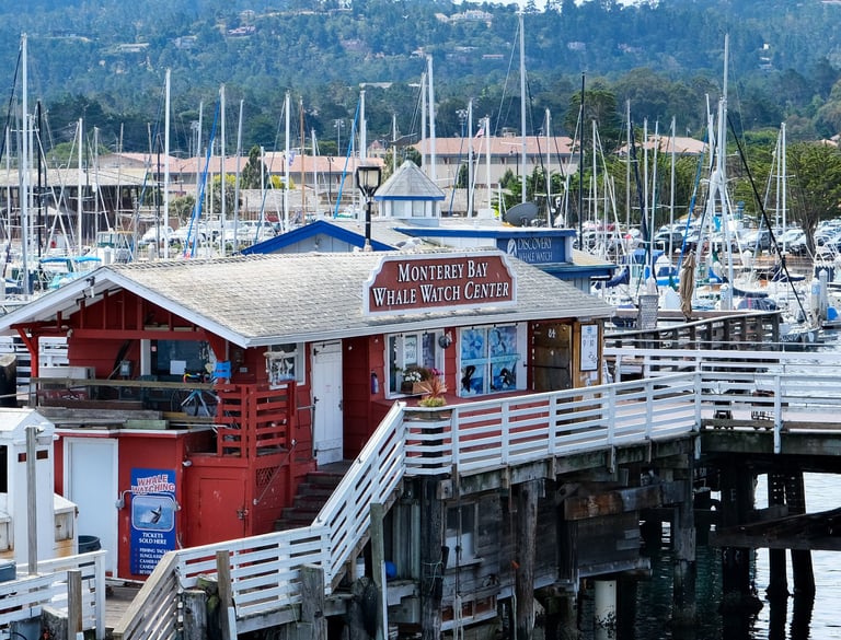monterey californie vue de la baie