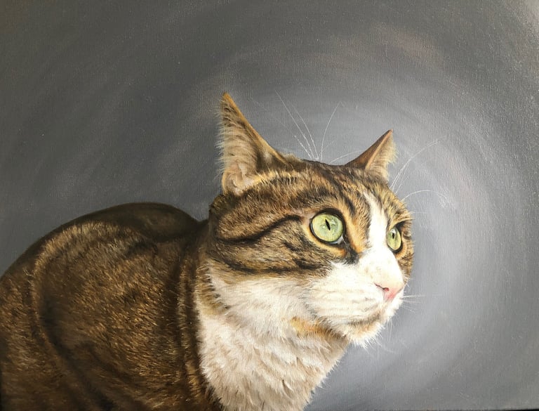 peinture animalière d'un chat