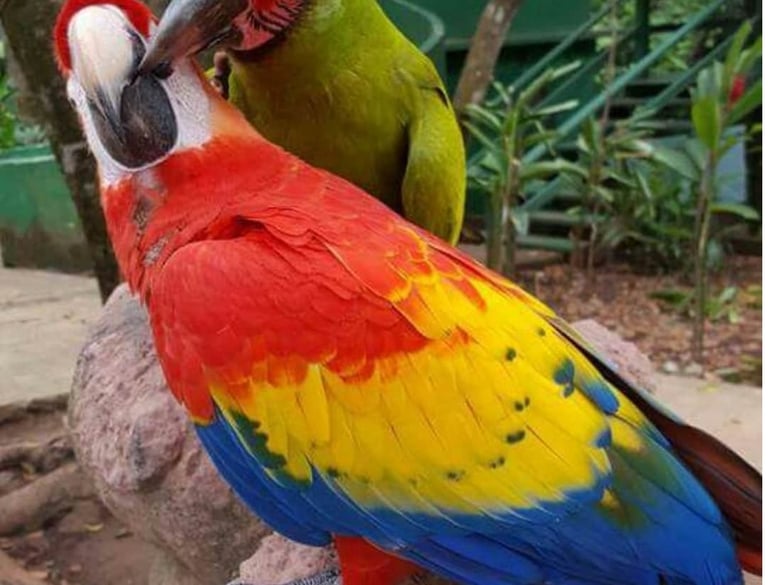 paseo corto por la cuidad