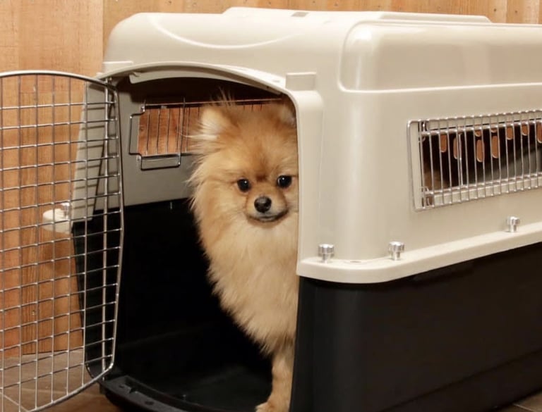 Entrega manejada con mucha responsabilidad.