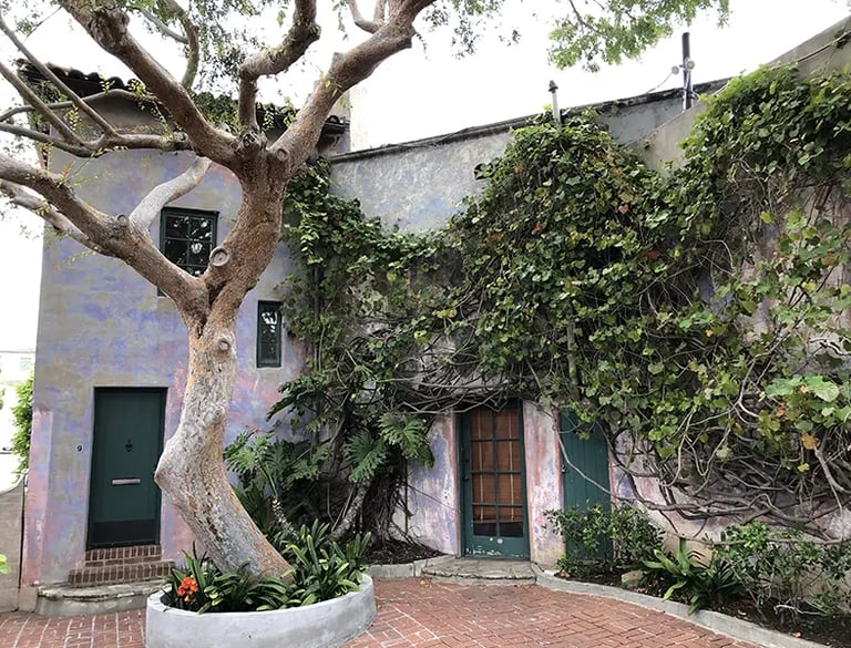 El Meridian courtyard in Santa Barbara with vine-covered purple and pink wall.