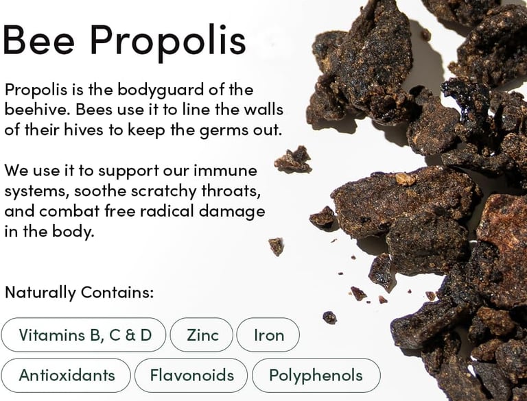 beekeepers-naturals-propolis-throat-spray-bodyguard