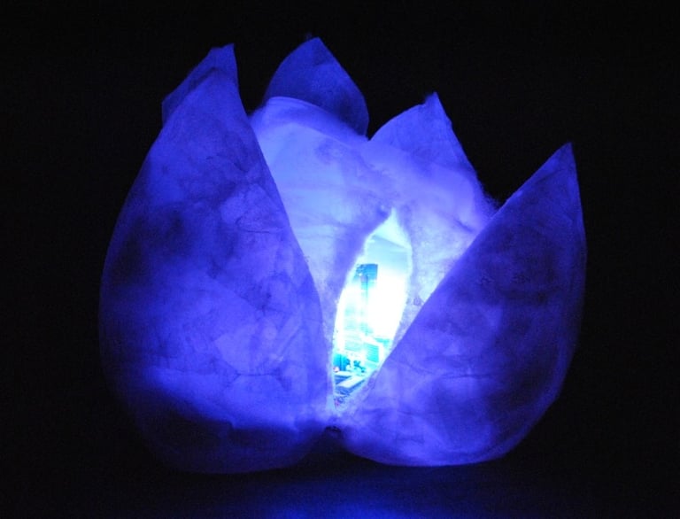 cocoon installation