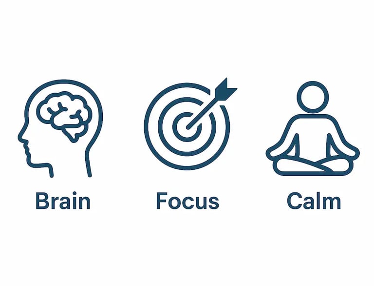 Illustration showing how Nervovive ingredients support brain and nerve function