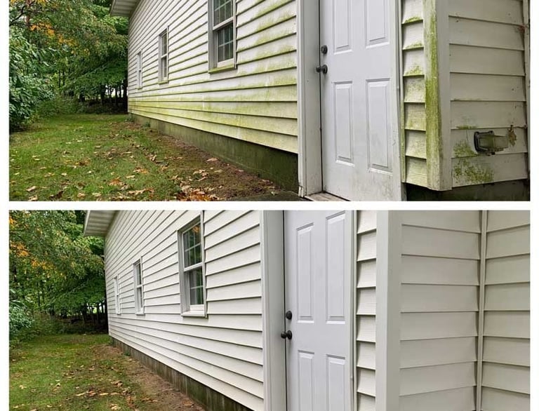 We removed the organic growth on this home with our exterior home wash service in Odessa, FL