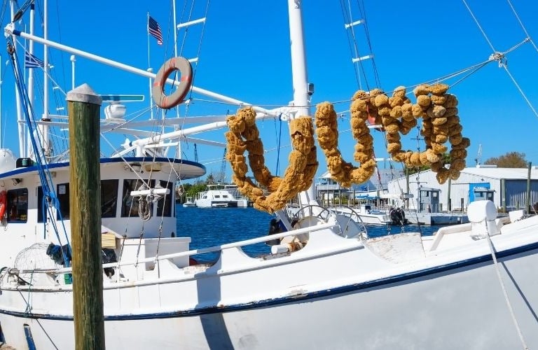 tarpon springs florida white boat with sponges on deck