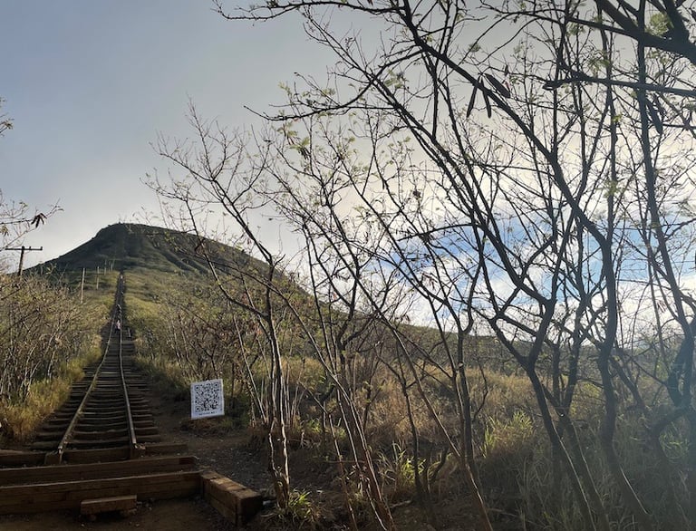 Koko Head Stairs O'ahu Hawai'i
