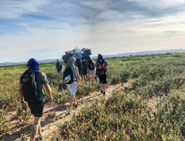 Tourists in head coverings walking into Sahara desert through scrubby grass – Pro tour