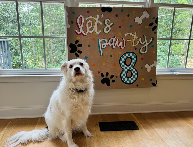 dog birthday party, hand-painted banner for dog, dog themed banner