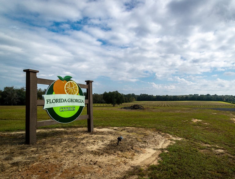 image of signage for citrus farm