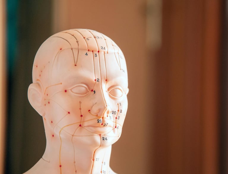méridiens en reflexologie et point d'acupression