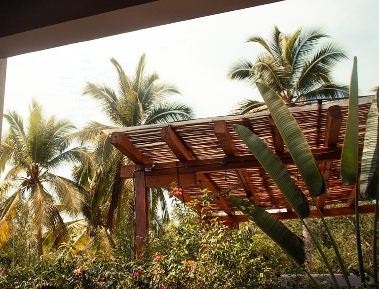 SALADITA RENTALS X GATO SURF