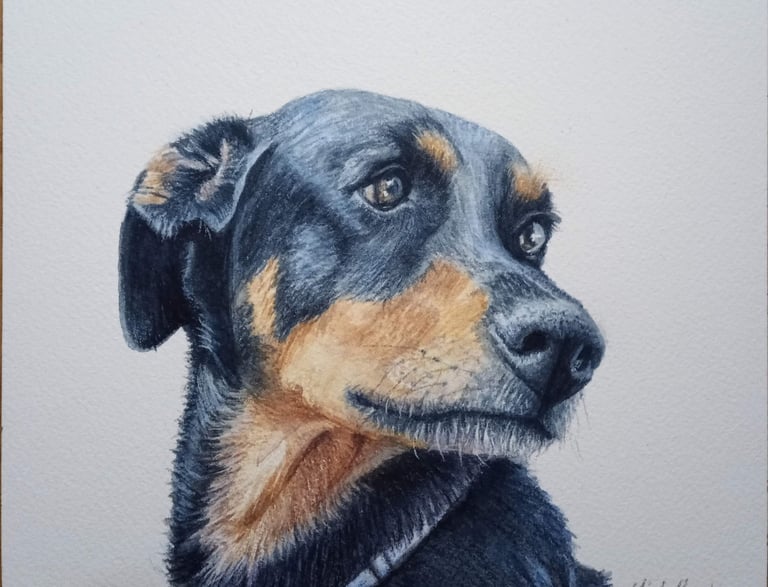 Pet Portrait artwork