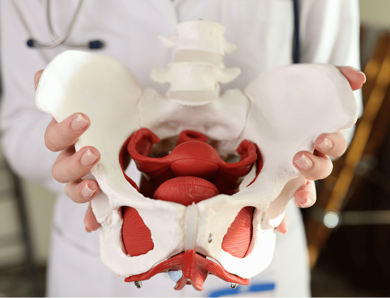 seduta di fisioterapia per il rinforzo del pavimento pelvico con esercizi guidati